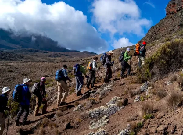 kilimanjaro-trekking-19_result